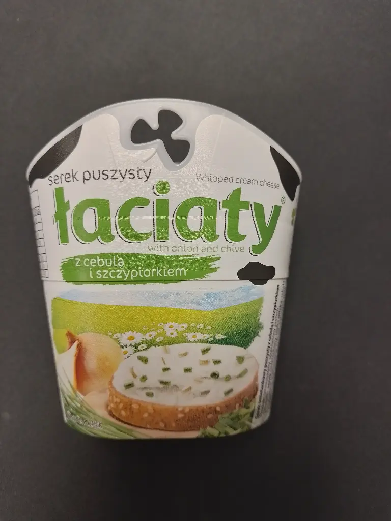 SEREK Z CEBULKA I SZCZYPIORKIEM - Fromage à tartiner oignon et ciboulette